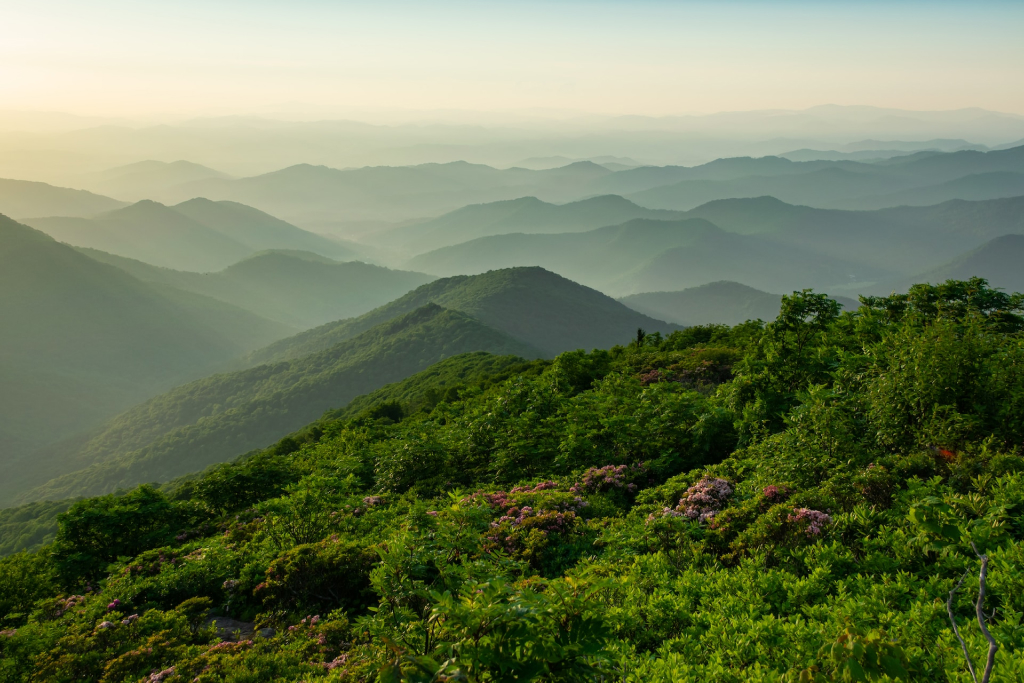 10-Point Guide to the Best of Western North Carolina